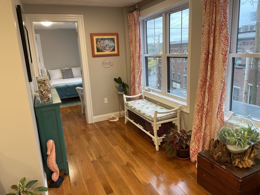 13 High Street, Unit 2 Amesbury, MA 01913 - Photo 12 of 16 a living room with furniture and a potted plant next to a window