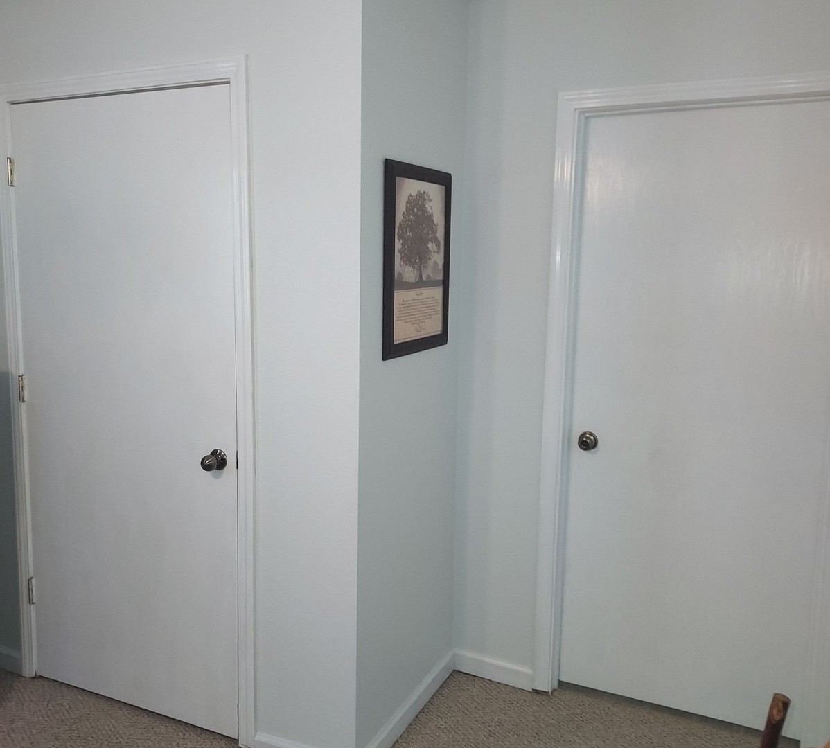 604 South Locust Street Arcola, IL 61910 - Photo 16 of 20