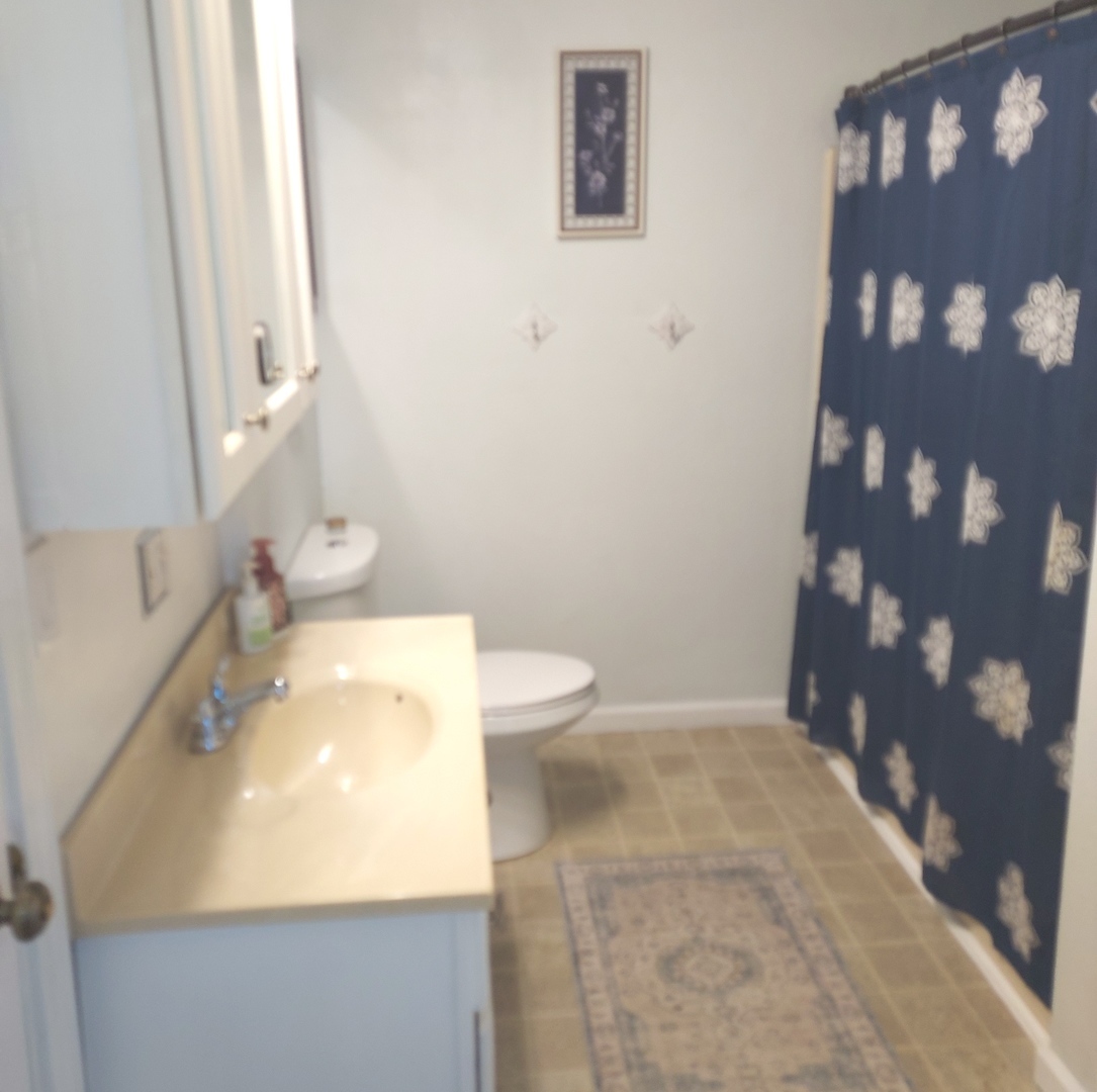 604 South Locust Street Arcola, IL 61910 - Photo 17 of 20