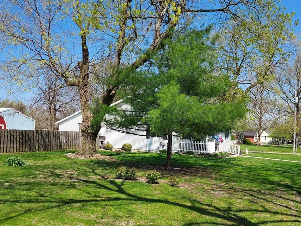 a view of a park with large trees