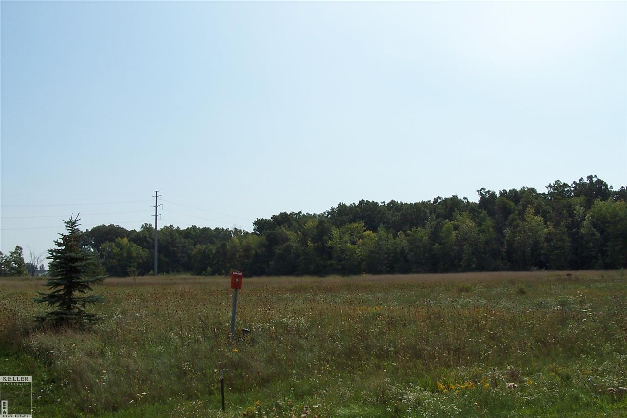 Parcel I-1 Parcel I-1 Ray Lane Imlay City, MI 48444 - Photo 7 of 7