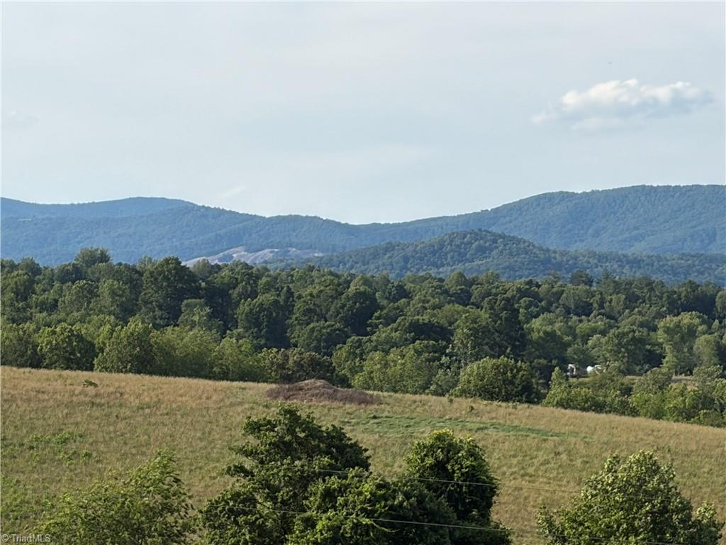 1779 Roundhill Church Road Traphill, NC 28685 - Photo 25 of 48 Gallery Image 25
