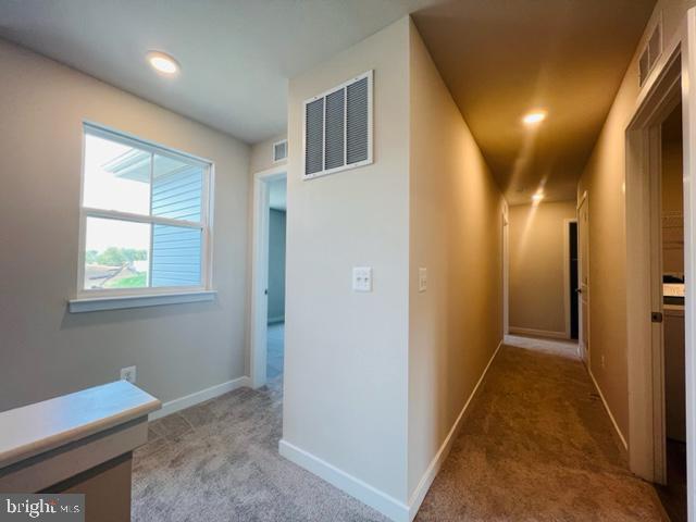 108 Thornton Way Winchester, VA 22602 - Photo 21 of 39