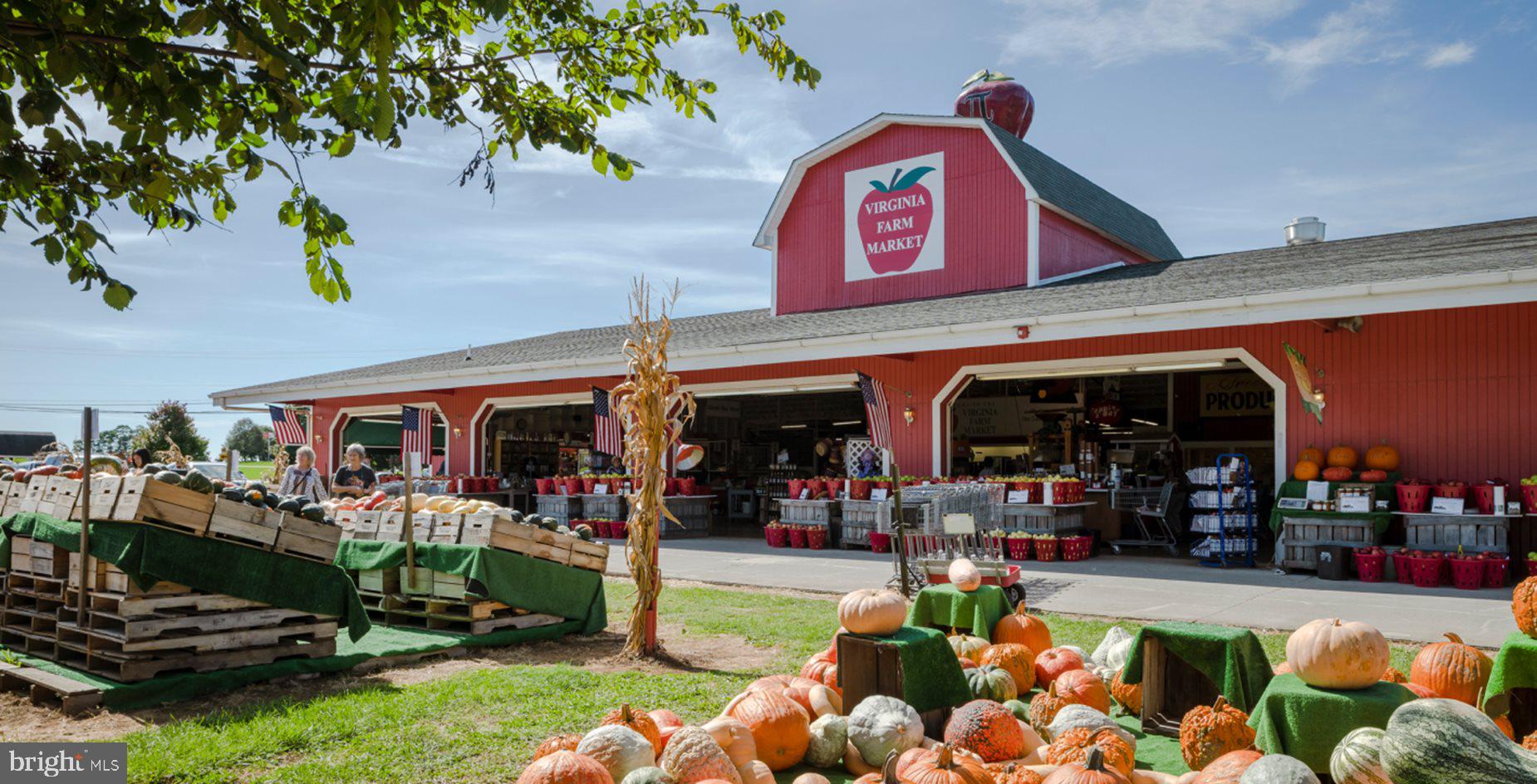 108 Thornton Way Winchester, VA 22602 - Photo 34 of 39