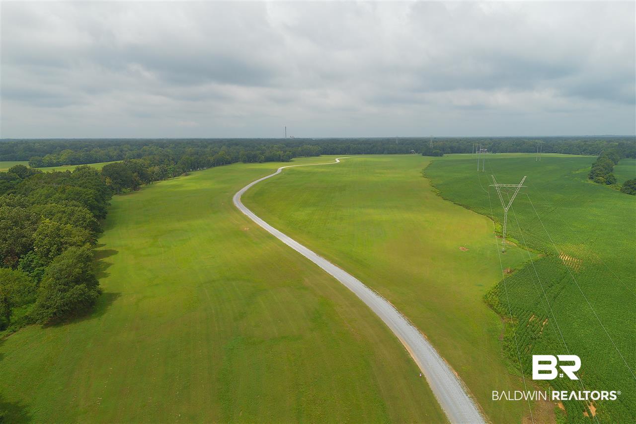 0 Jimmy Phillips Road Greensboro, AL 36744 - Photo 11 of 16