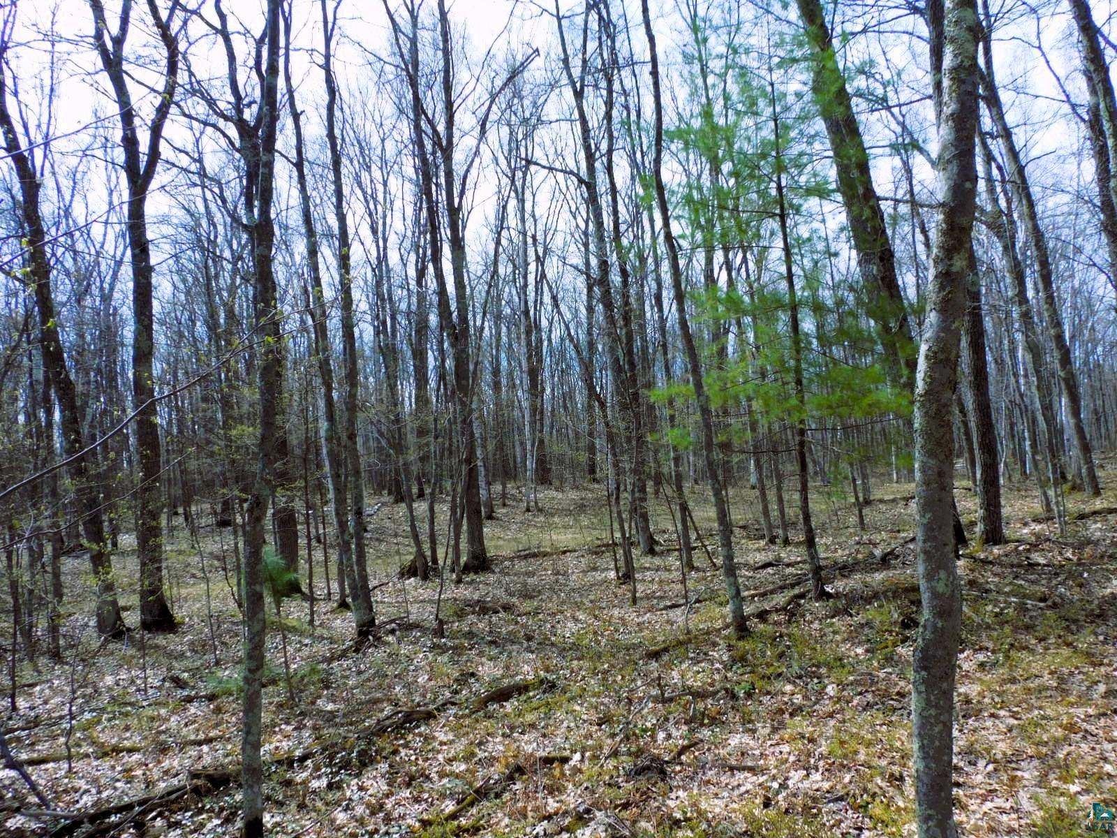 Xxxx Polkoski Road Iron River, WI 54847 - Photo 23 of 24