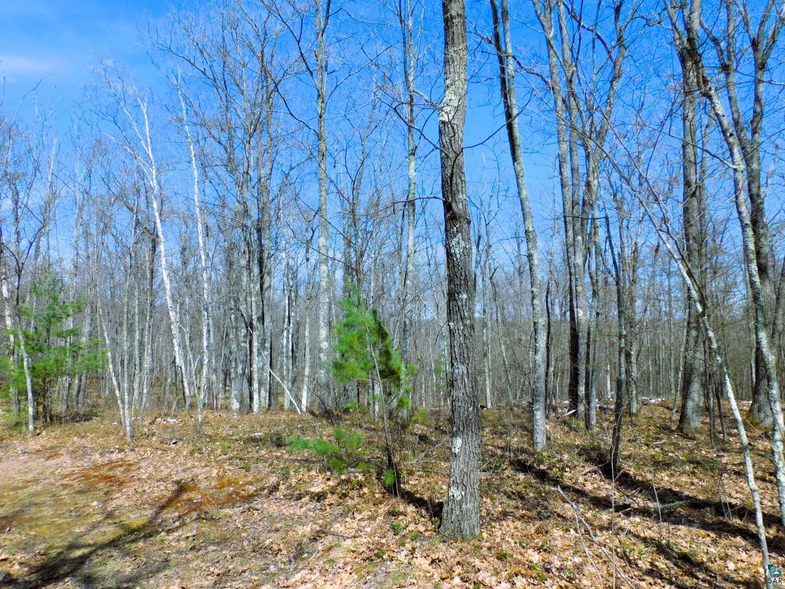 Xxxx Polkoski Road Iron River, WI 54847 - Photo 6 of 24 Also Pine Trees