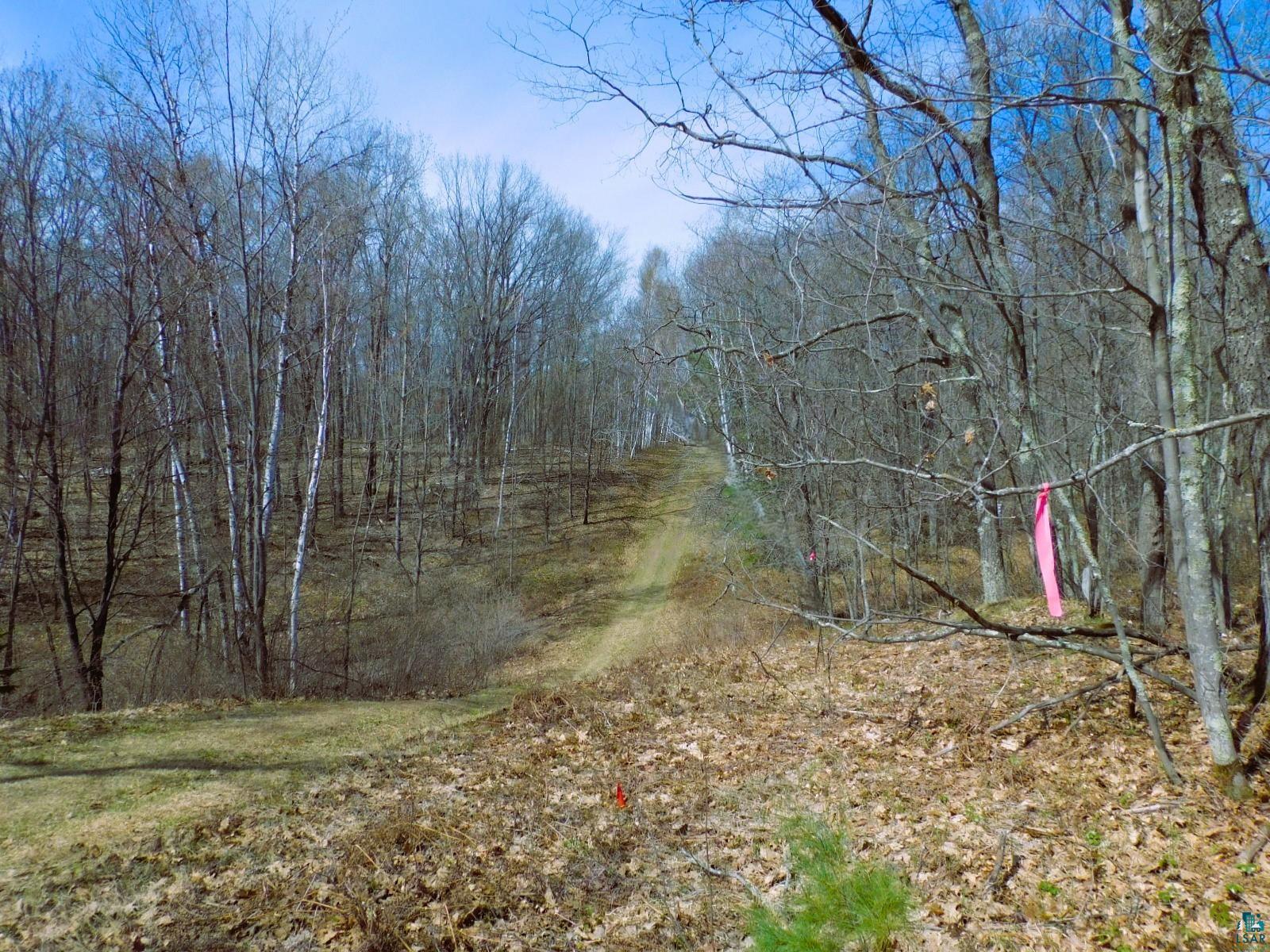 Xxxx Polkoski Road Iron River, WI 54847 - Photo 7 of 24 Snowmobile-ATV Trail