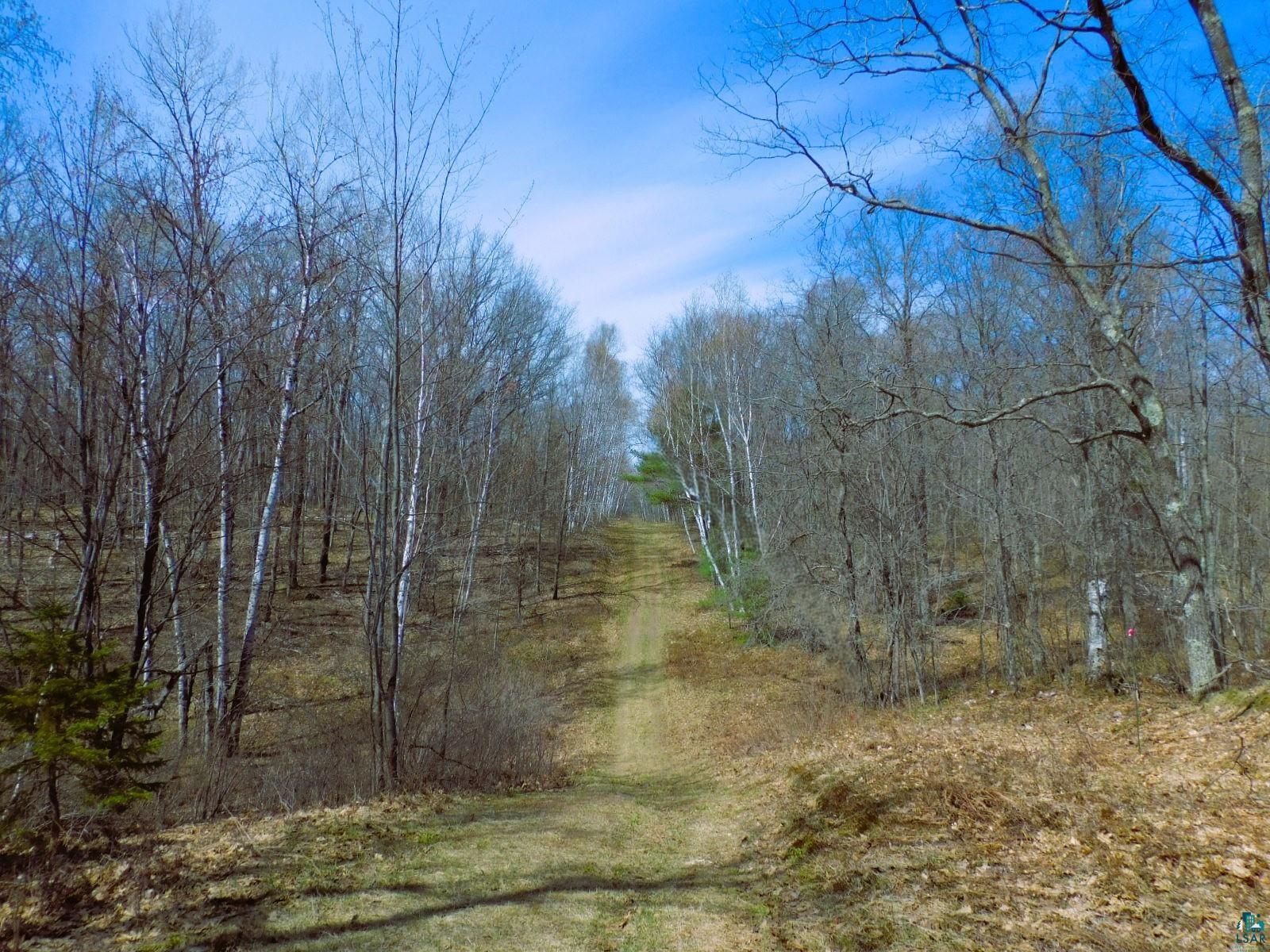 Xxxx Polkoski Road Iron River, WI 54847 - Photo 8 of 24 Easy access to trail