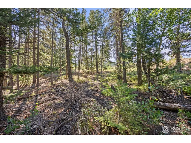 $249,000 | 134 Hurricane Hill Drive, Nederland, CO 80466