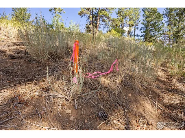 $249,000 | 134 Hurricane Hill Drive, Nederland, CO 80466