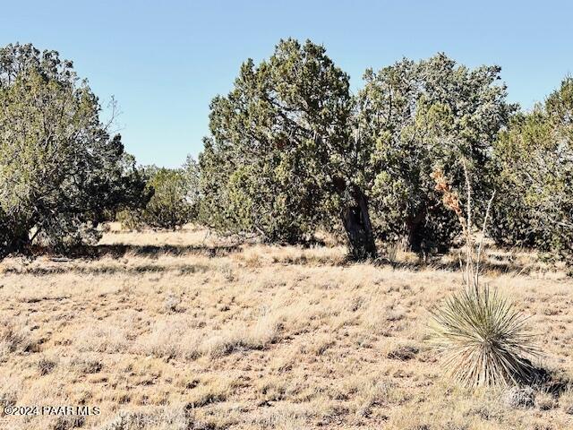 296- Rocky Top Road Seligman, AZ 86337 - Photo 1 of 6 IMG_7742