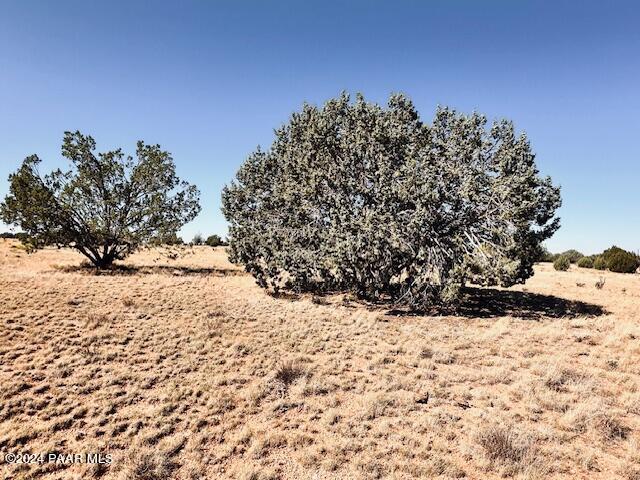 296- Rocky Top Road Seligman, AZ 86337 - Photo 4 of 6 IMG_7739