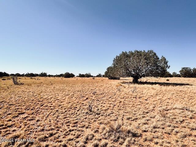 296- Rocky Top Road Seligman, AZ 86337 - Photo 5 of 6 IMG_7740