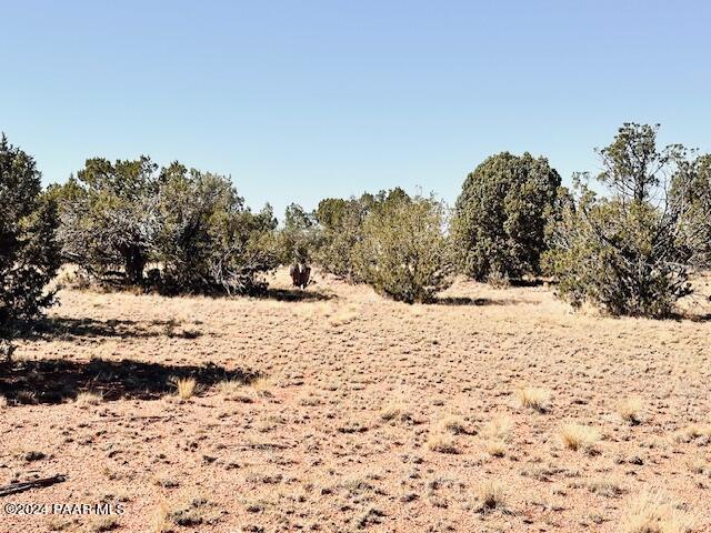 296- Rocky Top Road Seligman, AZ 86337 - Photo 6 of 6 IMG_7743