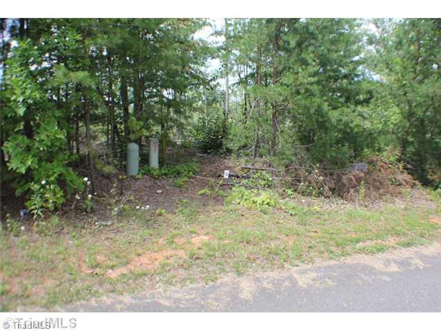 Lot 5 Cp Riddle Trail Mount Mount Airy, NC 27030 - Photo 1 of 4 Exterior Front.