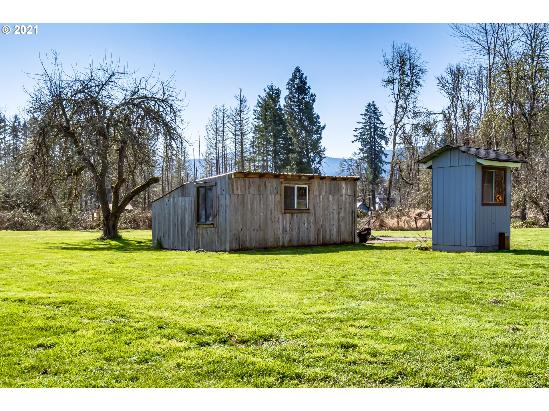 82465 Parvin Road Dexter, OR 97431 - Photo 22 of 32