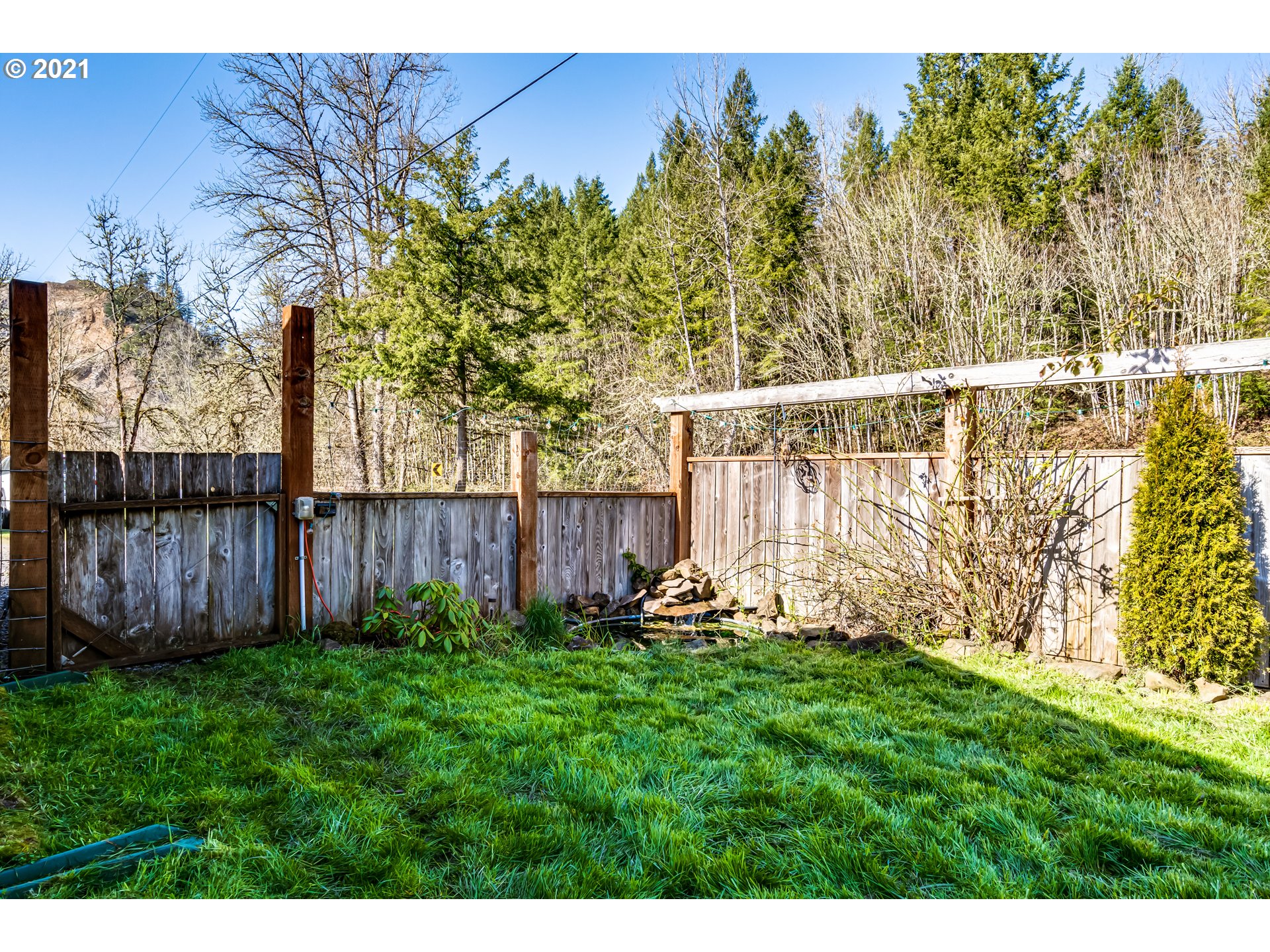82465 Parvin Road Dexter, OR 97431 - Photo 4 of 32
