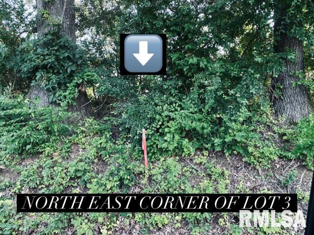 Lot 5 Falcon Road Carbondale, IL 62902 - Photo 3 of 9