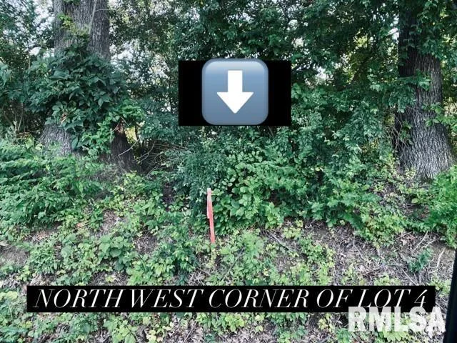 $30,000 | Lot 5 Falcon Road, Carbondale, IL 62902