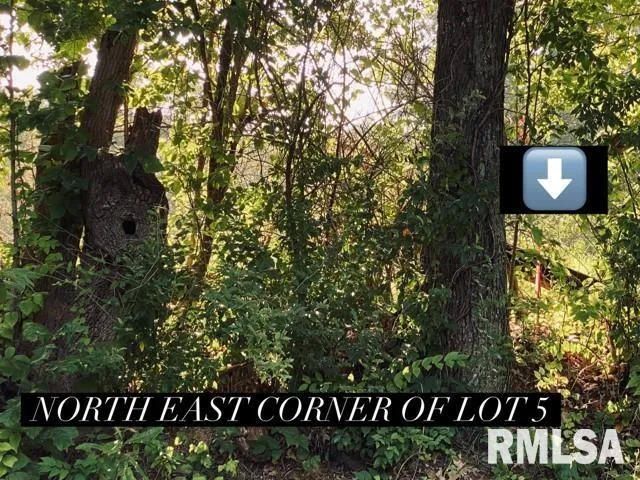 $30,000 | Lot 5 Falcon Road, Carbondale, IL 62902