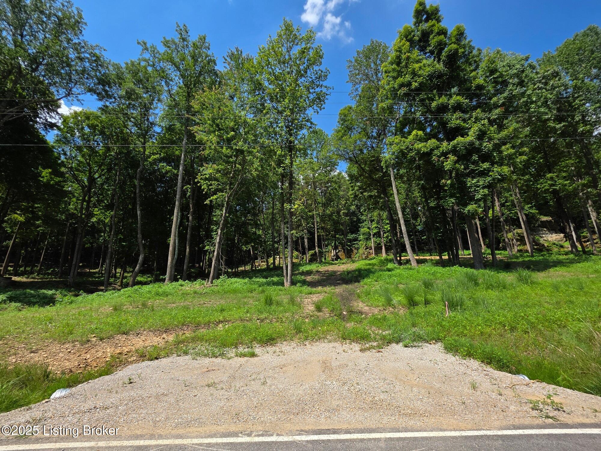 4 Cave Creek Road Falls Of Rough, KY 40119 - Photo 9 of 12 Lot 4-Drive