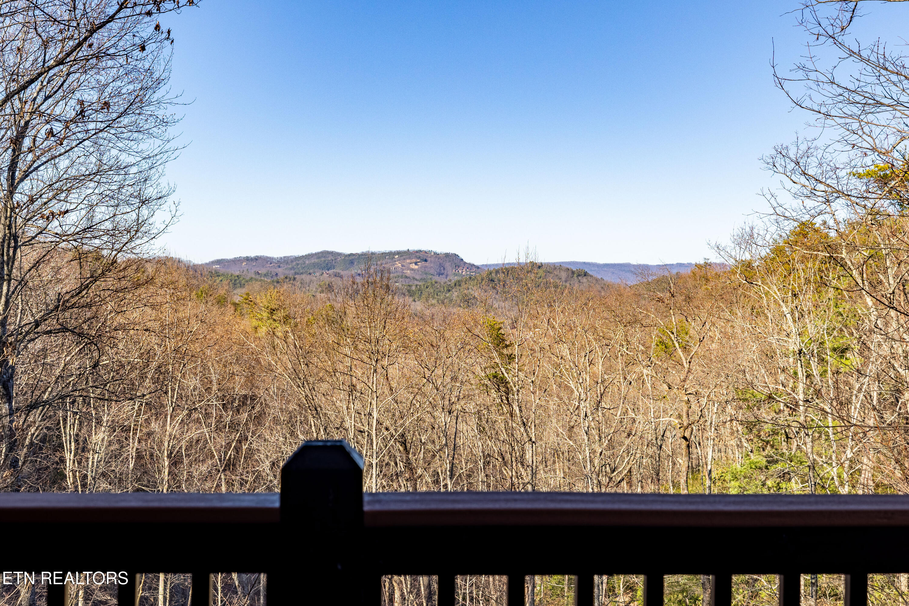 4204 Round Top Way Sevierville, TN 37862 - Photo 23 of 52 4204RoundTopWay-33