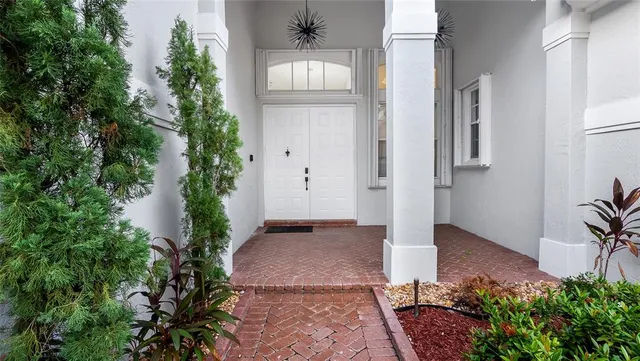 an empty room with potted plants and a more windows