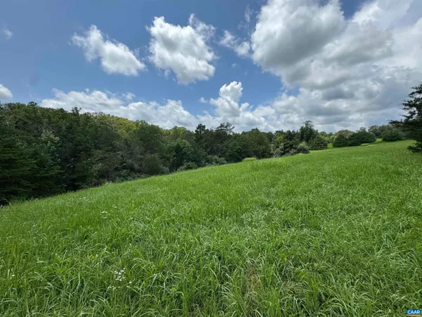 a view of a city with lush green forest