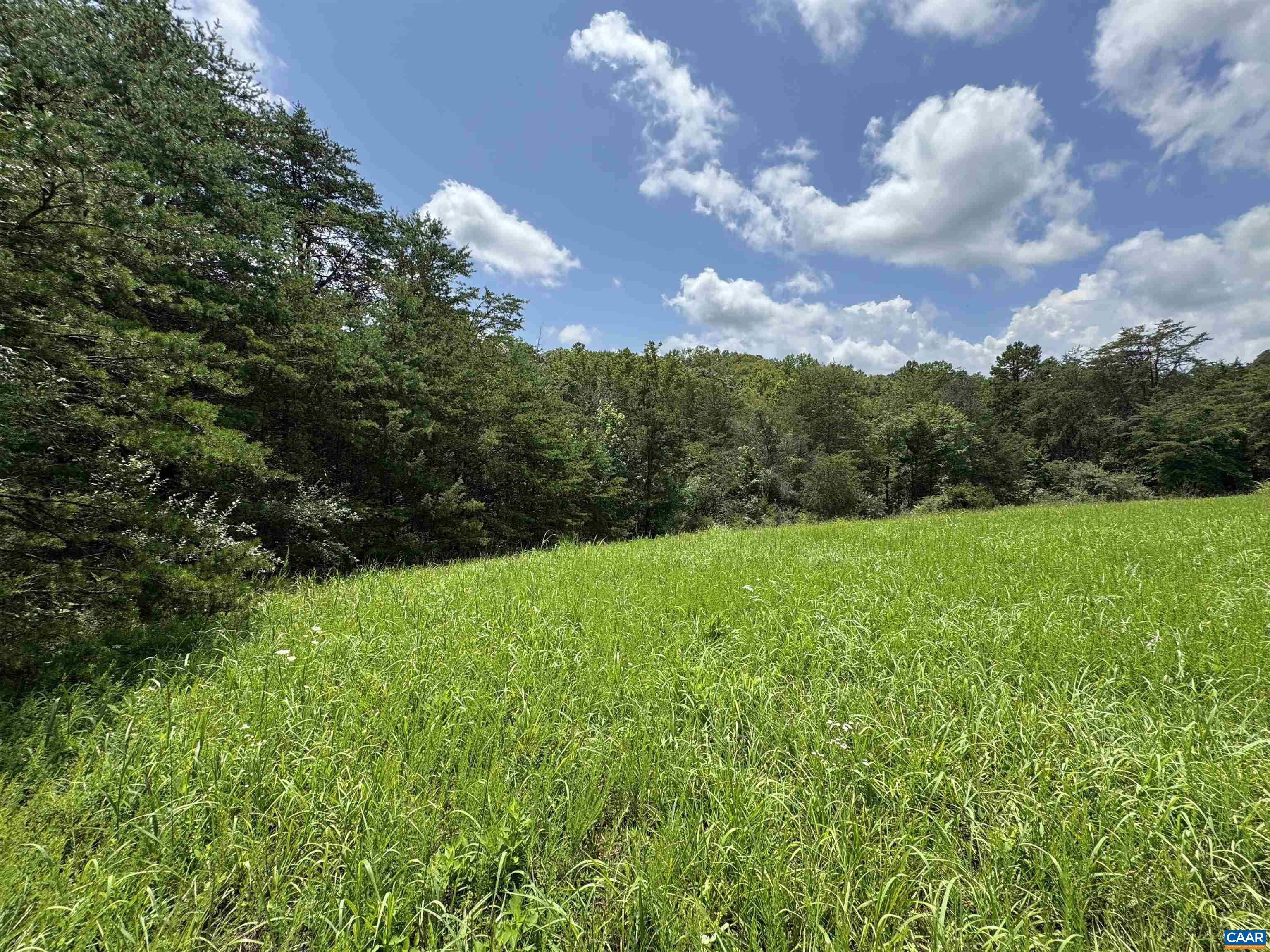 Tbd Fishpond Road Howardsville, VA 24562 - Photo 11 of 14