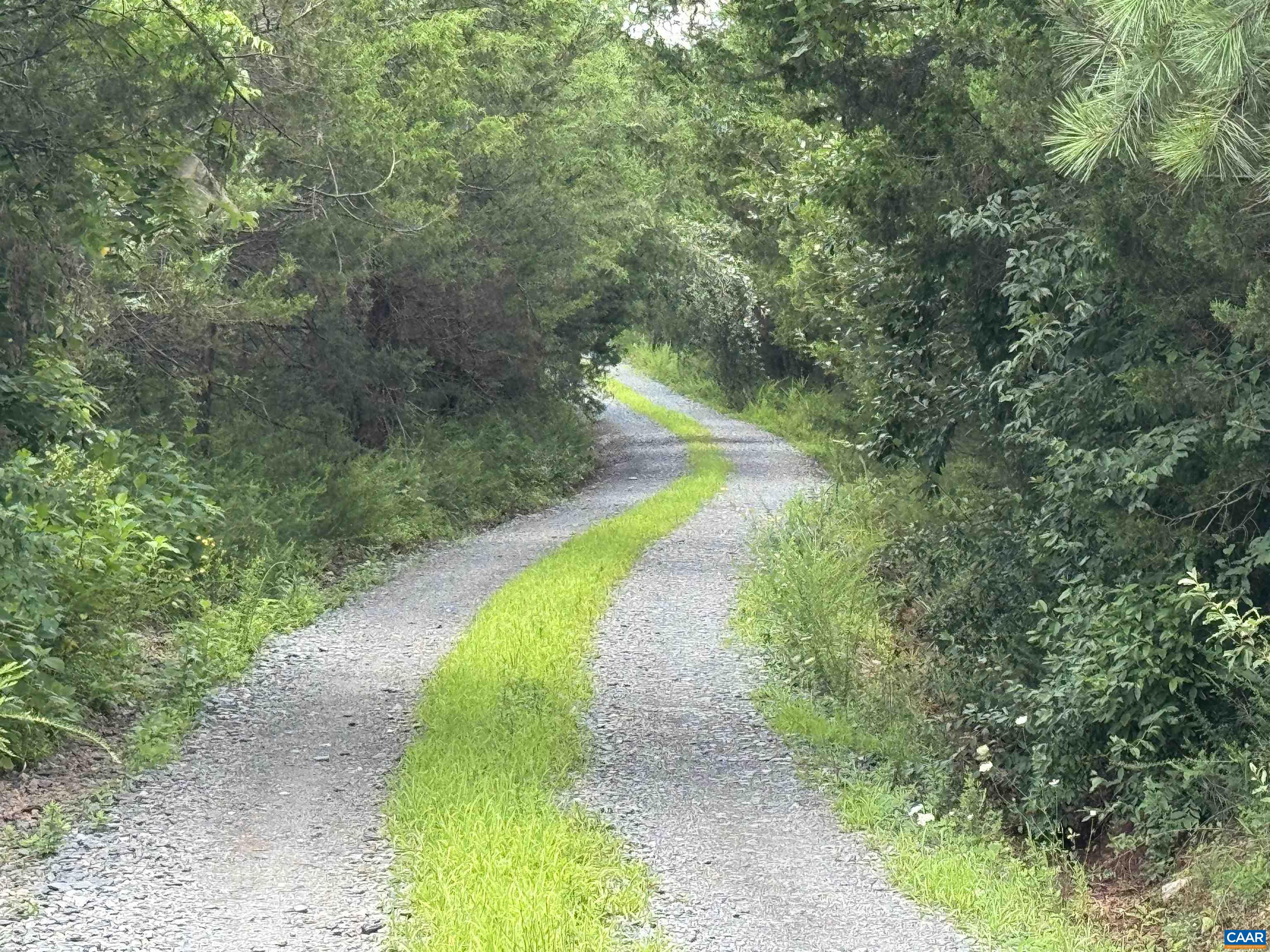 Tbd Fishpond Road Howardsville, VA 24562 - Photo 4 of 14