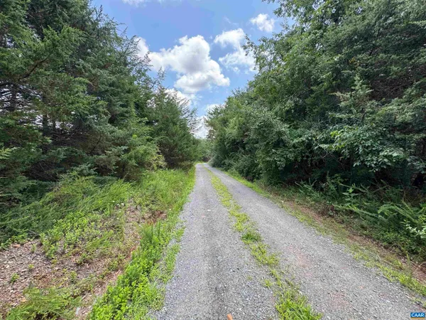 a view of a pathway with a yard