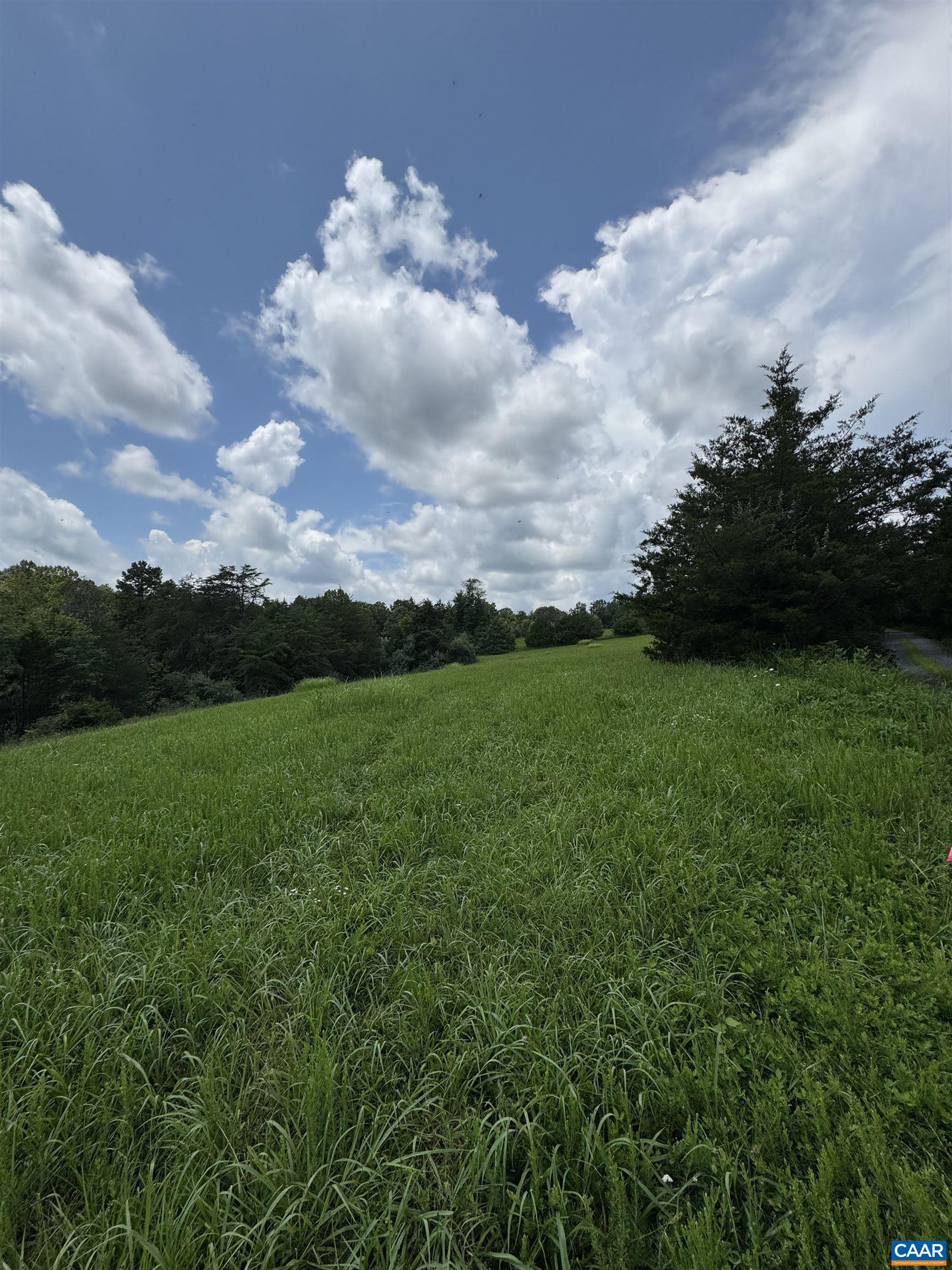 Tbd Fishpond Road Howardsville, VA 24562 - Photo 7 of 14