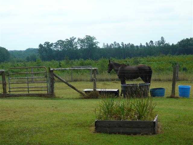589 Lake Secession Road Abbeville, SC 29620 - Photo 11 of 17 Gallery Image 11