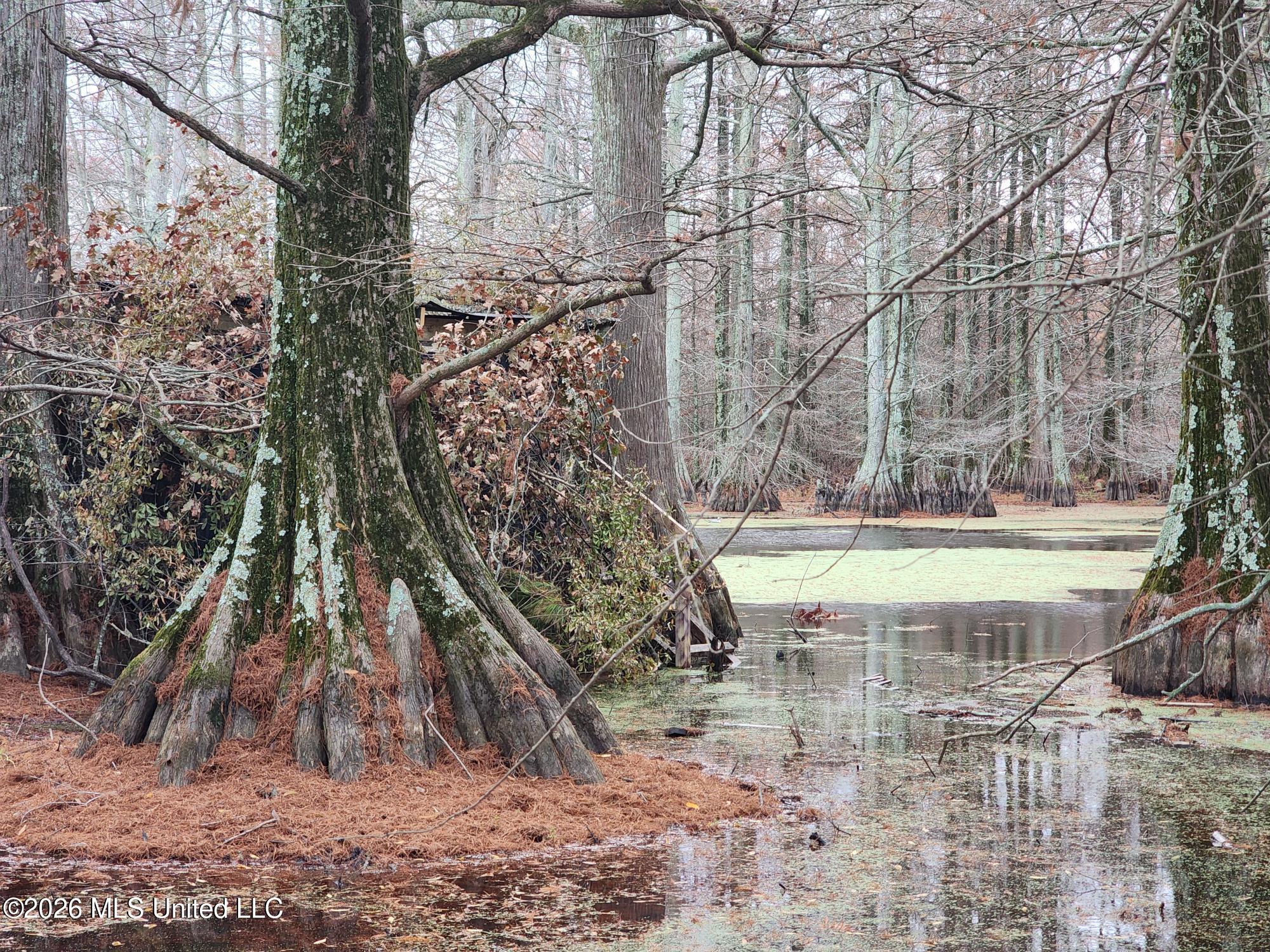 Shaw Road Sledge, MS 38670 - Photo 33 of 45 1000008111