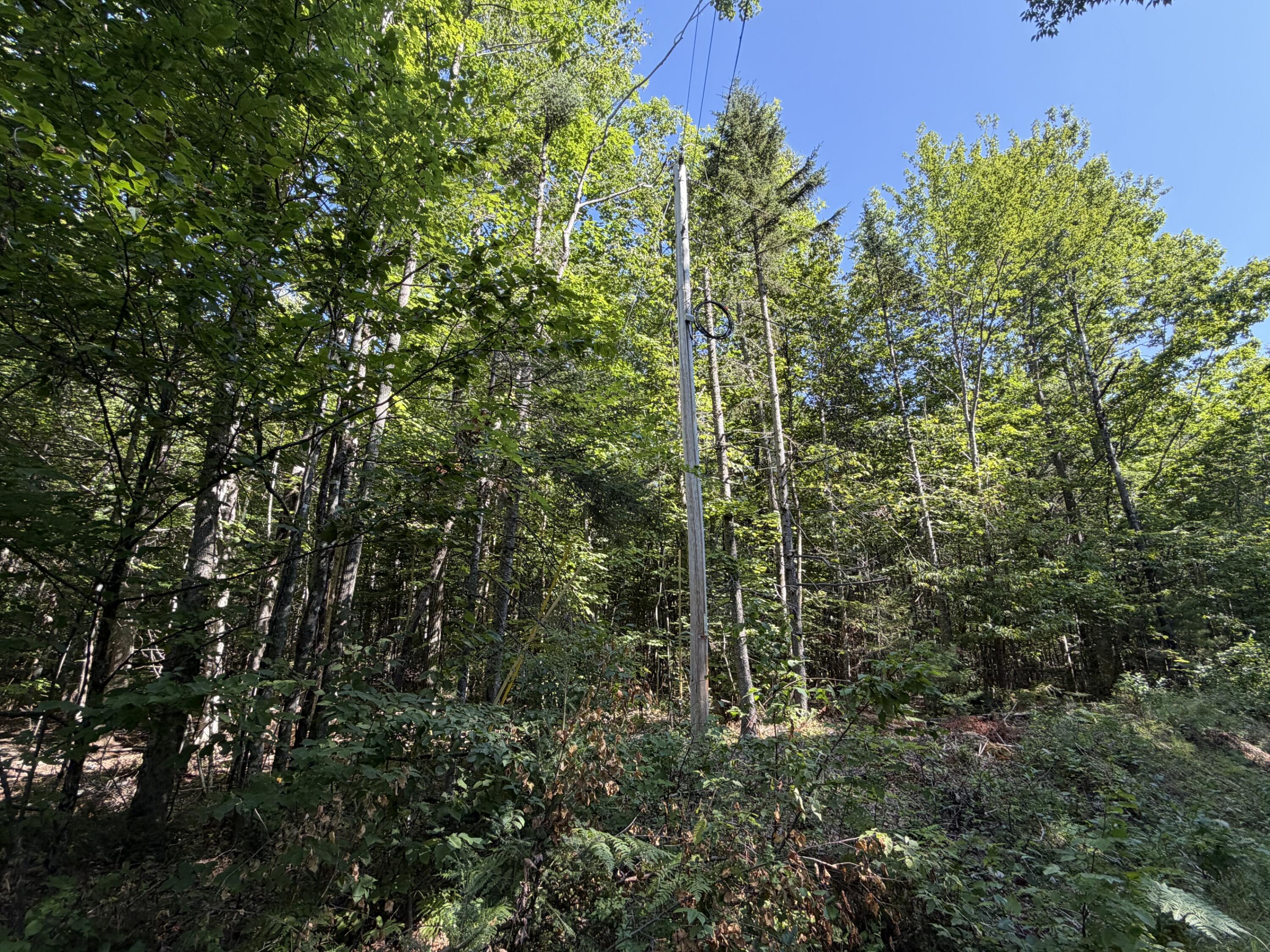 9 Map Road Garland, ME 04939 - Photo 2 of 8 IMG_4178