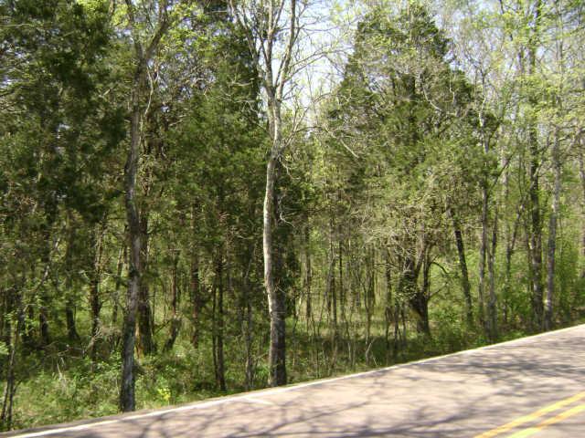 0 Patterson Hill Road Lascassas, TN 37085 - Photo 2 of 4 Gallery Image 2