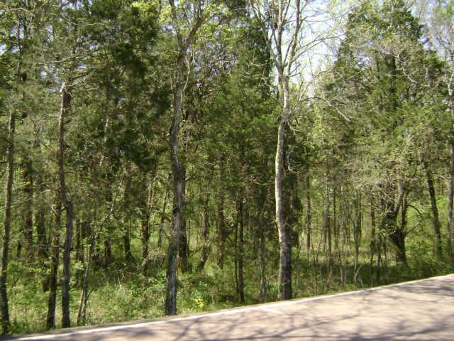 0 Patterson Hill Road Lascassas, TN 37085 - Photo 3 of 4 Gallery Image 3