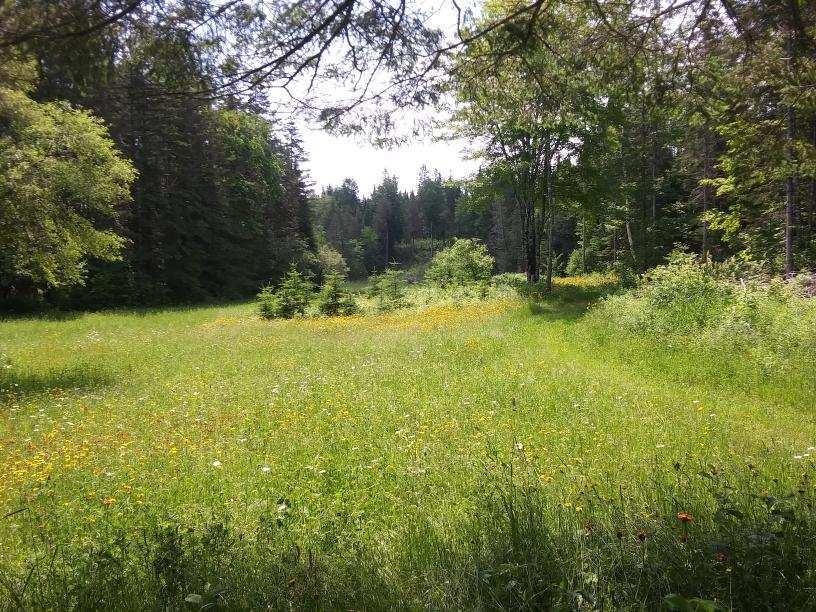 1661 Ludlow Road Houlton, ME 04730 - Photo 37 of 63 image000004ww