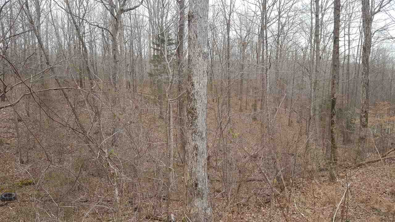 7050 Topsy Road Waynesboro, TN 38485 - Photo 1 of 7 Gallery Image 1