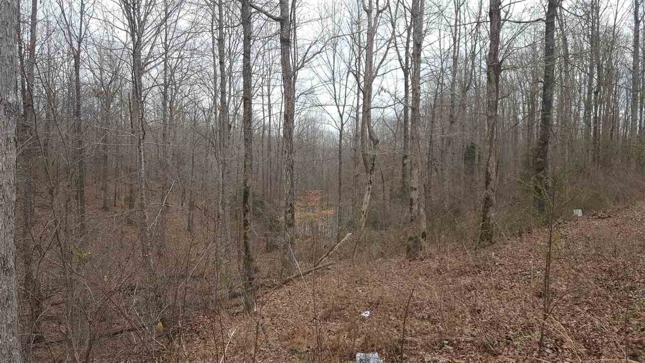 7050 Topsy Road Waynesboro, TN 38485 - Photo 3 of 7 Gallery Image 3