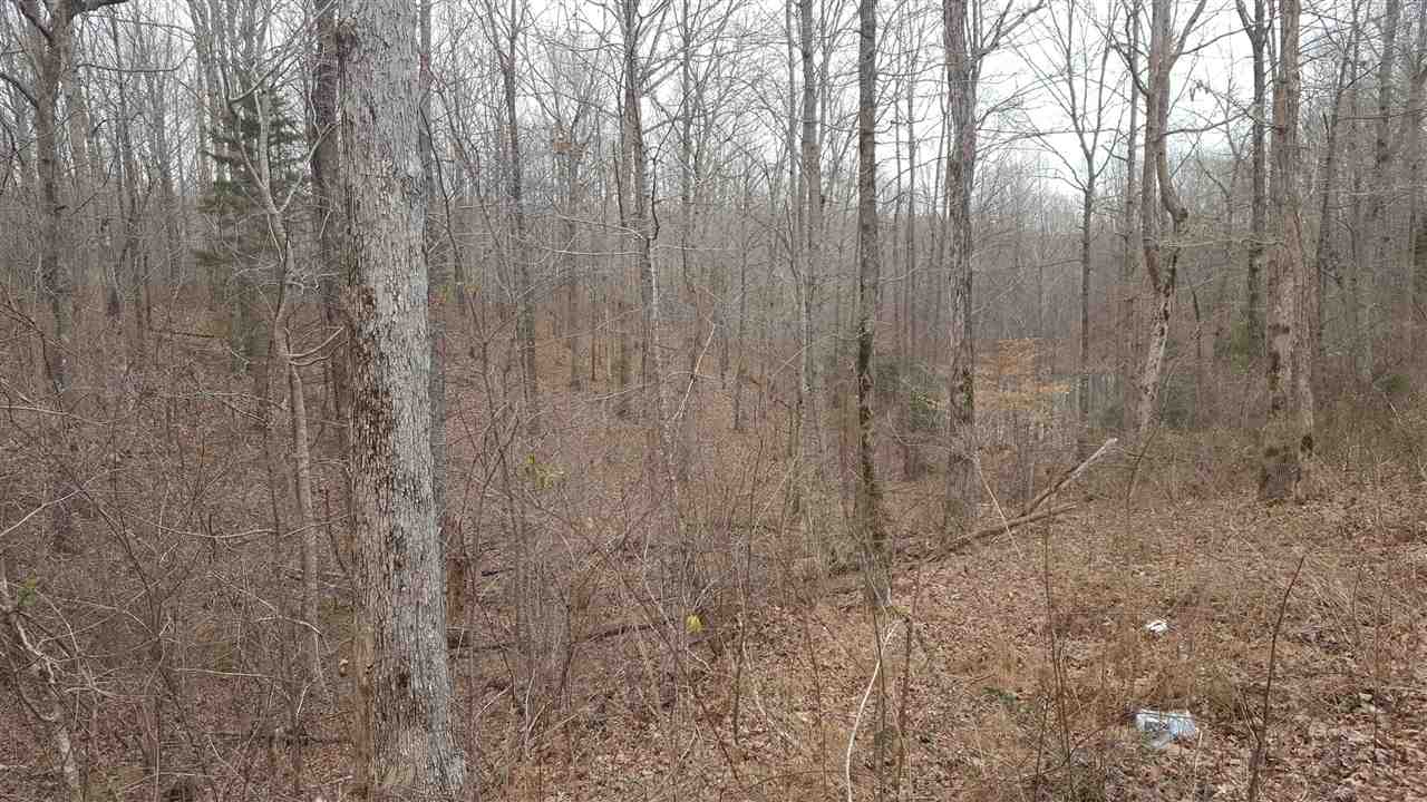 7050 Topsy Road Waynesboro, TN 38485 - Photo 4 of 7 Gallery Image 4
