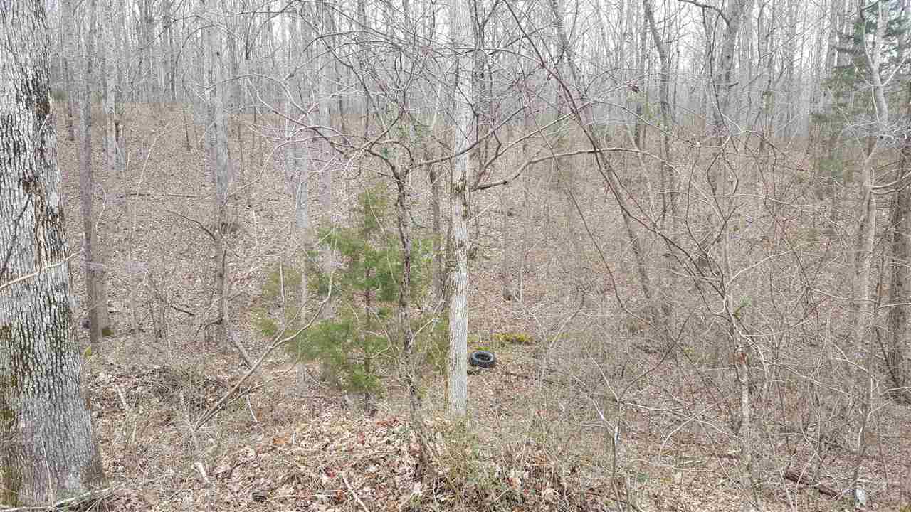 7050 Topsy Road Waynesboro, TN 38485 - Photo 6 of 7 Gallery Image 6