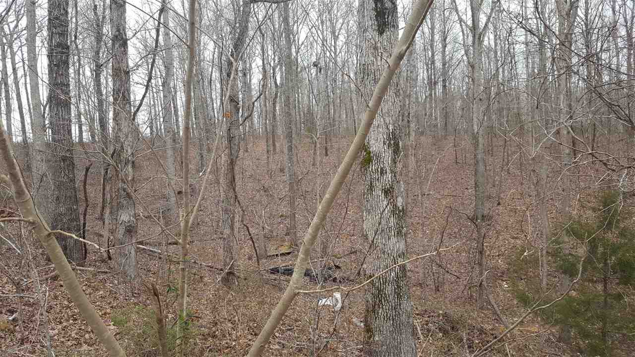 7050 Topsy Road Waynesboro, TN 38485 - Photo 7 of 7 Gallery Image 7