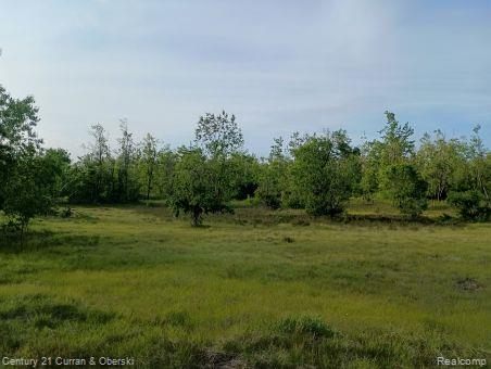 0 Finnegan Road Johannesburg, MI 49751 - Photo 2 of 2