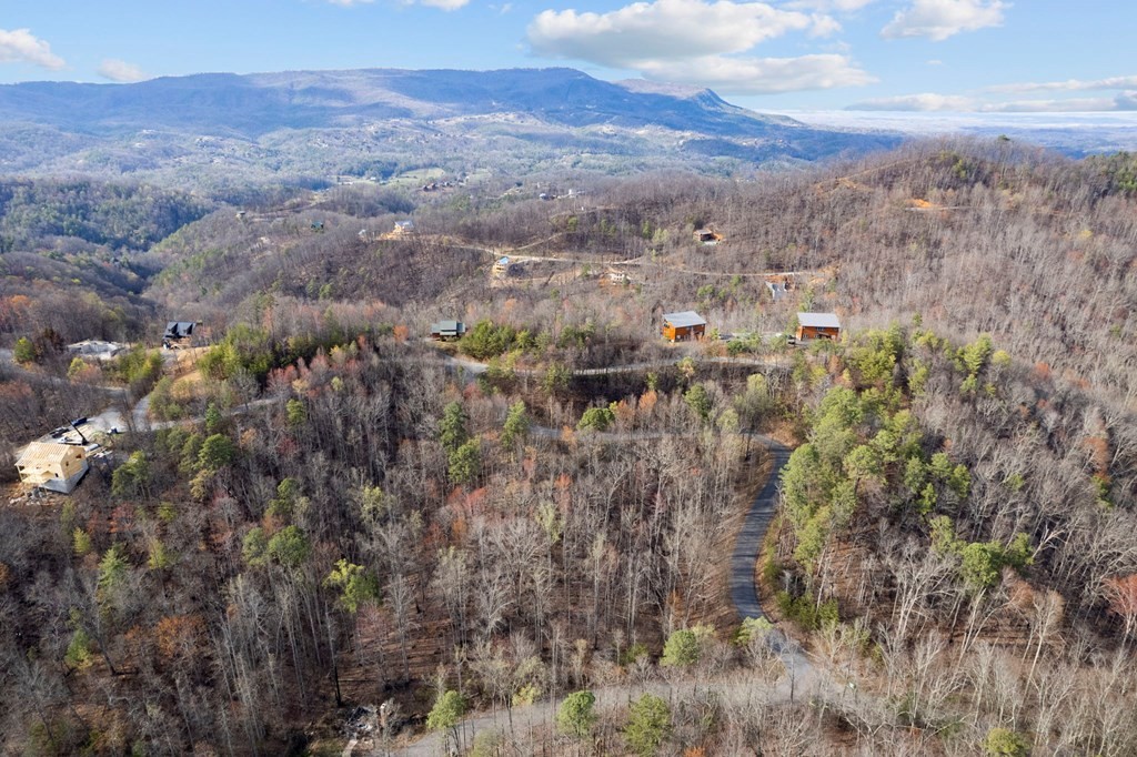 1 Lone Ridge Drive Sevierville, TN 37862 - Photo 6 of 13 Gallery Image 6