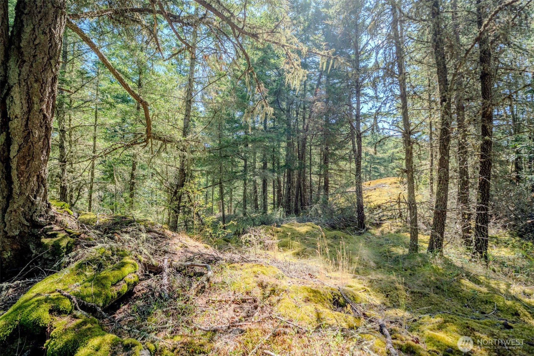 678 Swan Road Orcas Island, WA 98245 - Photo 25 of 39