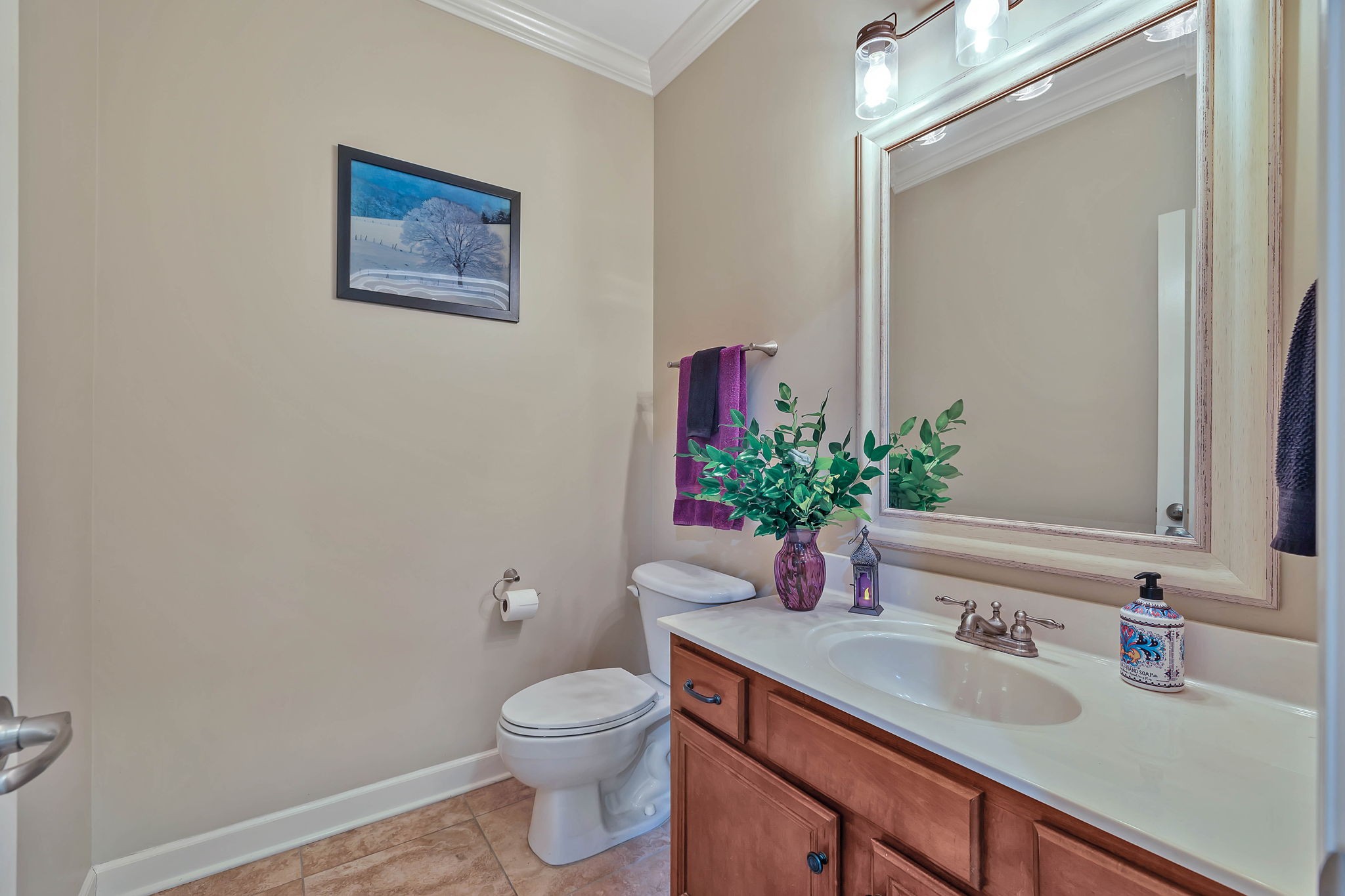 2138 Cason Lane Murfreesboro, TN 37128 - Photo 16 of 55 a bathroom with a toilet a sink and mirror