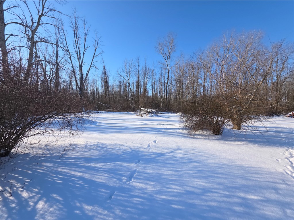 3175 Walworth Palmyra Road Walworth, NY 14568 - Photo 5 of 19