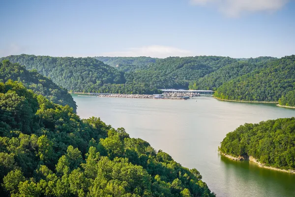 a view of a lake view with a garden